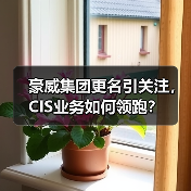 豪威集团更名引关注，CIS业务如何领跑？（图3）