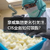 豪威集团更名引关注，CIS业务如何领跑？（图2）