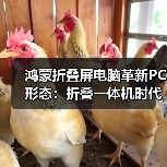 鸿蒙折叠屏电脑革新PC形态：折叠一体机时代开启（图1）