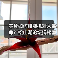 芯片如何赋能机器人革命？松山湖论坛揭秘国产芯突破（图3）