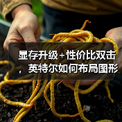 显存升级+性价比双击,英特尔如何布局图形与AI工作站市场?(图3) 显存升级+性价比双击,英特尔如何布局图形与AI工作站市场?(图3)