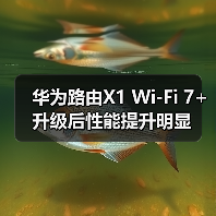 华为路由X1 Wi-Fi 7+升级后性能提升明显(图3) 华为路由X1 Wi-Fi 7+升级后性能提升明显(图3)