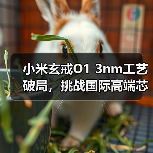 小米玄戒O1 3nm工艺破局,挑战国际高端芯片(图4) 小米玄戒O1 3nm工艺破局,挑战国际高端芯片(图4)