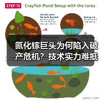 氮化镓巨头为何陷入破产危机?技术实力难抵债务缠身(图3) 氮化镓巨头为何陷入破产危机?技术实力难抵债务缠身(图3)