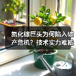 氮化镓巨头为何陷入破产危机?技术实力难抵债务缠身(图4) 氮化镓巨头为何陷入破产危机?技术实力难抵债务缠身(图4)