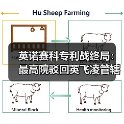 英诺赛科专利战终局:最高院驳回英飞凌管辖权异议(图3) 英诺赛科专利战终局:最高院驳回英飞凌管辖权异议(图3)