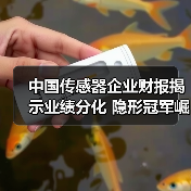 中国传感器企业财报揭示业绩分化 隐形冠军崛起(图1) 中国传感器企业财报揭示业绩分化 隐形冠军崛起(图1)