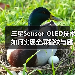 三星Sensor OLED技术如何实现全屏指纹与健康监测?(图2) 三星Sensor OLED技术如何实现全屏指纹与健康监测?(图2)