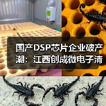 国产DSP芯片企业破产潮:江西创成微电子清算危机(图2) 国产DSP芯片企业破产潮:江西创成微电子清算危机(图2)