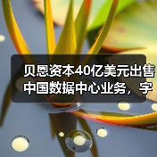 贝恩资本40亿美元出售中国数据中心业务,字节跳动成最大客户(图4) 贝恩资本40亿美元出售中国数据中心业务,字节跳动成最大客户(图4)