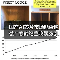 国产AI芯片市场能否逆袭?寒武纪营收暴涨引行业震荡(图4) 国产AI芯片市场能否逆袭?寒武纪营收暴涨引行业震荡(图4)