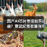 国产AI芯片市场能否逆袭?寒武纪营收暴涨引行业震荡(图2) 国产AI芯片市场能否逆袭?寒武纪营收暴涨引行业震荡(图2)