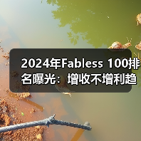 2024年Fabless 100排名曝光:增收不增利趋势显著?(图4) 2024年Fabless 100排名曝光:增收不增利趋势显著?(图4)
