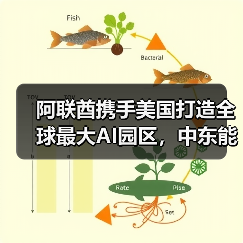 阿联酋携手美国打造全球最大AI园区,中东能否诞生新硅谷?(图4) 阿联酋携手美国打造全球最大AI园区,中东能否诞生新硅谷?(图4)