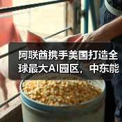 阿联酋携手美国打造全球最大AI园区,中东能否诞生新硅谷?(图1) 阿联酋携手美国打造全球最大AI园区,中东能否诞生新硅谷?(图1)