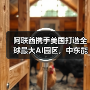 阿联酋携手美国打造全球最大AI园区,中东能否诞生新硅谷?(图2) 阿联酋携手美国打造全球最大AI园区,中东能否诞生新硅谷?(图2)