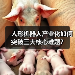人形机器人产业化如何突破三大核心难题?(图2) 人形机器人产业化如何突破三大核心难题?(图2)