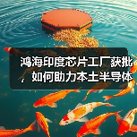 鸿海印度芯片工厂获批，如何助力本土半导体发展（图4）