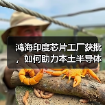 鸿海印度芯片工厂获批，如何助力本土半导体发展（图2）
