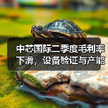 中芯国际二季度毛利率下滑,设备验证与产能波动成主因(图1) 中芯国际二季度毛利率下滑,设备验证与产能波动成主因(图1)