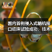 国内首例侵入式脑机接口临床试验成功,技术领先全球(图1) 国内首例侵入式脑机接口临床试验成功,技术领先全球(图1)