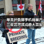 苹果折叠屏手机将量产 三星蓝思或成最大赢家(图4) 苹果折叠屏手机将量产 三星蓝思或成最大赢家(图4)