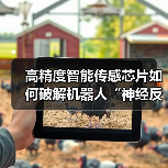 高精度智能传感芯片如何破解机器人“神经反射”难题?(图4) 高精度智能传感芯片如何破解机器人“神经反射”难题?(图4)