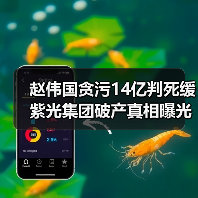 赵伟国贪污14亿判死缓 紫光集团破产真相曝光(图1) 赵伟国贪污14亿判死缓 紫光集团破产真相曝光(图1)