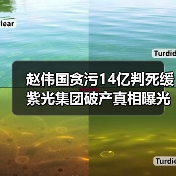 赵伟国贪污14亿判死缓 紫光集团破产真相曝光(图2) 赵伟国贪污14亿判死缓 紫光集团破产真相曝光(图2)