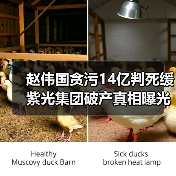 赵伟国贪污14亿判死缓 紫光集团破产真相曝光(图3) 赵伟国贪污14亿判死缓 紫光集团破产真相曝光(图3)