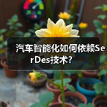 汽车智能化如何依赖SerDes技术?(图2) 汽车智能化如何依赖SerDes技术?(图2)