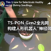 TS-PON Gen2全光网构建人形机器人 TS-PON Gen2全光网构建人形机器人