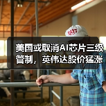 美国或取消AI芯片三级管制,英伟达股价猛涨3%(图2) 美国或取消AI芯片三级管制,英伟达股价猛涨3%(图2)