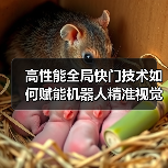 高性能全局快门技术如何赋能机器人精准视觉感知?(图4) 高性能全局快门技术如何赋能机器人精准视觉感知?(图4)