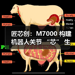 匠芯创:M7000 构建机器人关节 “芯” 生态,解码从处理器到控制算法生态闭环(图3) 匠芯创:M7000 构建机器人关节 “芯” 生态,解码从处理器到控制算法生态闭环(图3)
