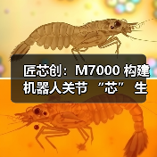 匠芯创:M7000 构建机器人关节 “芯” 生态,解码从处理器到控制算法生态闭环(图2) 匠芯创:M7000 构建机器人关节 “芯” 生态,解码从处理器到控制算法生态闭环(图2)