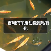 吉利汽车启动极氪私有化(图4) 吉利汽车启动极氪私有化(图4)