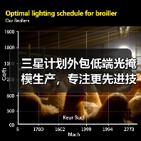 三星计划外包低端光掩模生产,专注更先进技术(图3) 三星计划外包低端光掩模生产,专注更先进技术(图3)