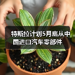 特斯拉计划5月底从中国进口汽车零部件(图3) 特斯拉计划5月底从中国进口汽车零部件(图3)