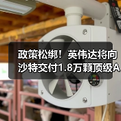 政策松绑!英伟达将向沙特交付1.8万颗顶级AI芯片(图2) 政策松绑!英伟达将向沙特交付1.8万颗顶级AI芯片(图2)