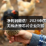 净利润翻倍!2024中国无线连接芯片企业财报爆发(图2) 净利润翻倍!2024中国无线连接芯片企业财报爆发(图2)