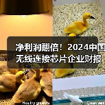 净利润翻倍!2024中国无线连接芯片企业财报爆发(图3) 净利润翻倍!2024中国无线连接芯片企业财报爆发(图3)