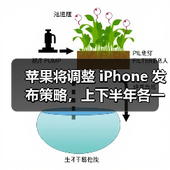 苹果将调整 iPhone 发布策略,上下半年各一次(图1) 苹果将调整 iPhone 发布策略,上下半年各一次(图1)
