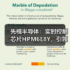先楫半导体:实时控制芯片HPM6E8Y,引领机器人关节 “芯” 时代(图1) 先楫半导体:实时控制芯片HPM6E8Y,引领机器人关节 “芯” 时代(图1)