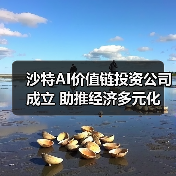 沙特AI价值链投资公司成立 助推经济多元化(图2) 沙特AI价值链投资公司成立 助推经济多元化(图2)
