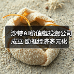 沙特AI价值链投资公司成立 助推经济多元化(图1) 沙特AI价值链投资公司成立 助推经济多元化(图1)