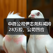 中微公司尹志尧拟减持28万股,公司回应(图2) 中微公司尹志尧拟减持28万股,公司回应(图2)