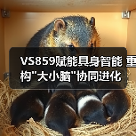 VS859赋能具身智能 重构 VS859赋能具身智能 重构