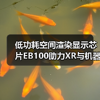 低功耗空间渲染显示芯片EB100助力XR与机器人交互革新（图3）