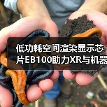 低功耗空间渲染显示芯片EB100助力XR与机器人交互革新（图4）